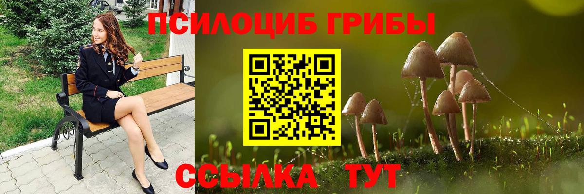 Павлово  Псилоцибиновые грибы Psilocybe  Вход с VPN 