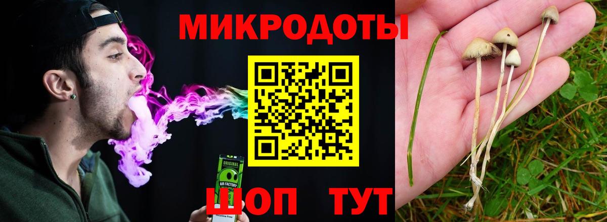 Псилоцибиновые грибы Cubensis Павлово